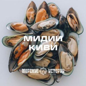 вкусные большие мидии киви вкусные большие мидии киви