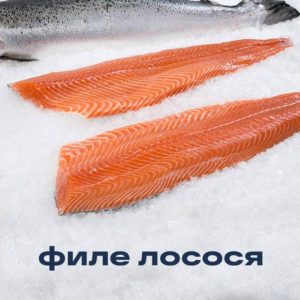 лосось филе охлажденный лосось филе охлажденный